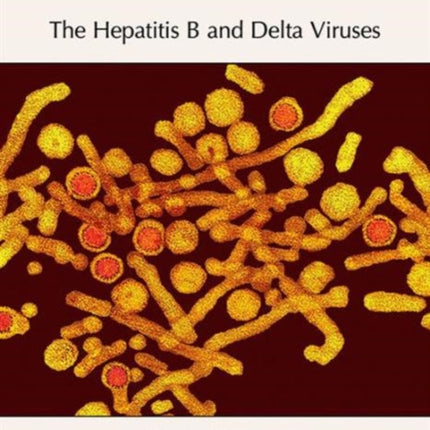 The Hepatitis B and Delta Viruses