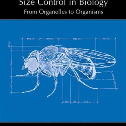 Size Control in Biology: From Organelles to Organisms