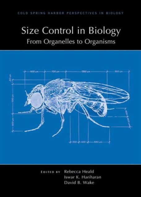 Size Control in Biology: From Organelles to Organisms