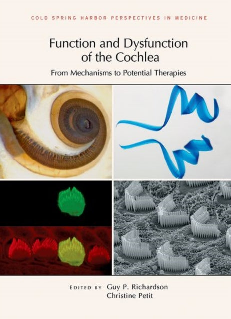 Function and Dysfunction of the Cochlea: From Mechanisms to Potential Therapies