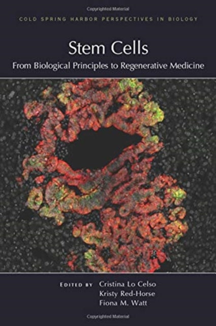 Stem Cells: From Biological Principles to