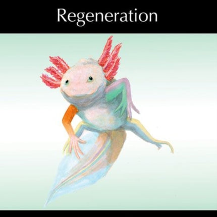 Regeneration