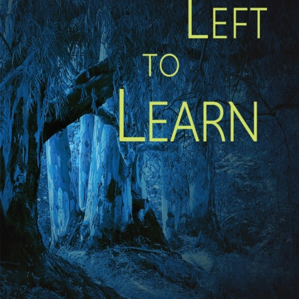 What's Left to Learn