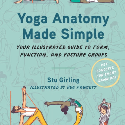 Yoga Anatomy Made Simple: Your Illustrated Guide to Form, Function, and Posture Groups