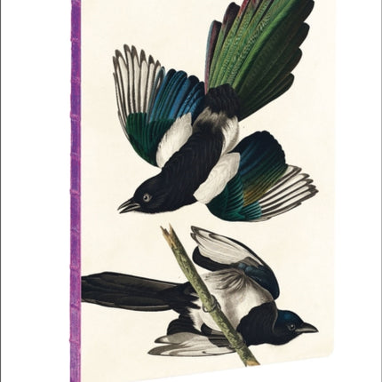 Magpies, James Audubon A4 Notebook