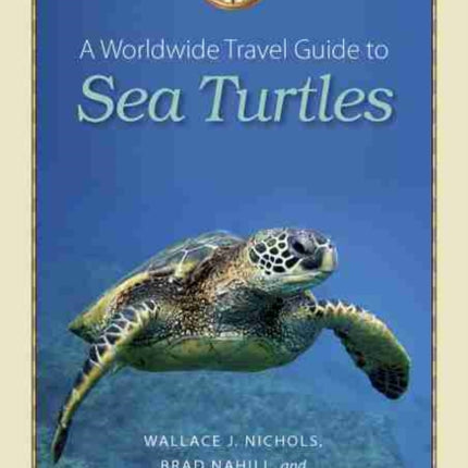A Worldwide Travel Guide to Sea Turtles 