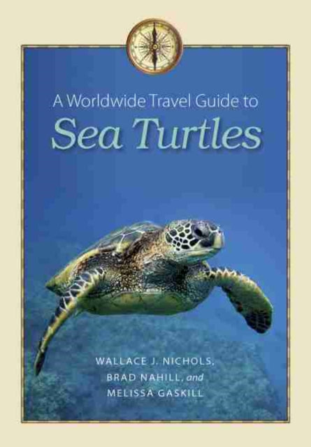 A Worldwide Travel Guide to Sea Turtles 