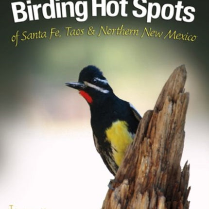 Birding Hotspots of Santa Fe, Taos, and Northern