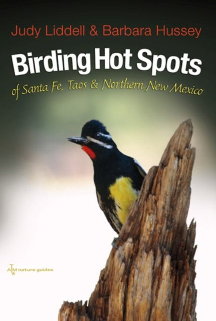 Birding Hotspots of Santa Fe, Taos, and Northern