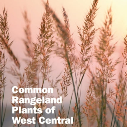 Common Rangeland Plants of West Central Texas
