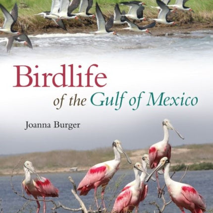 Birdlife of the Gulf of Mexico