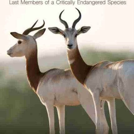 The Dama Gazelles: Last Members of a Critically
