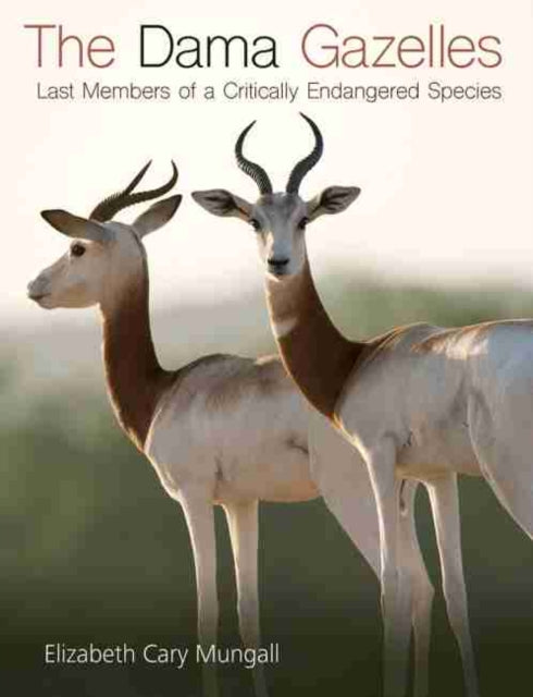 The Dama Gazelles: Last Members of a Critically