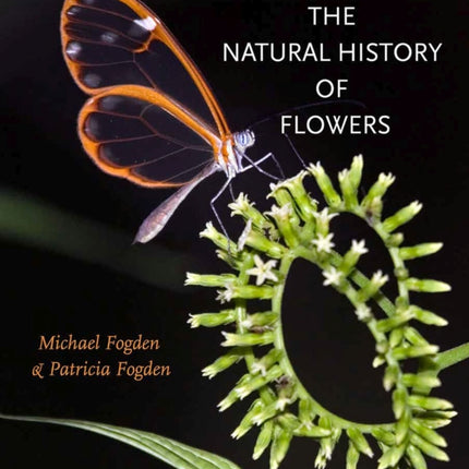 The Natural History of Flowers