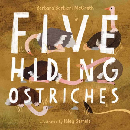 Five Hiding Ostriches