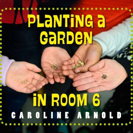 Planting a Garden in Room 6: From Seeds to Salad