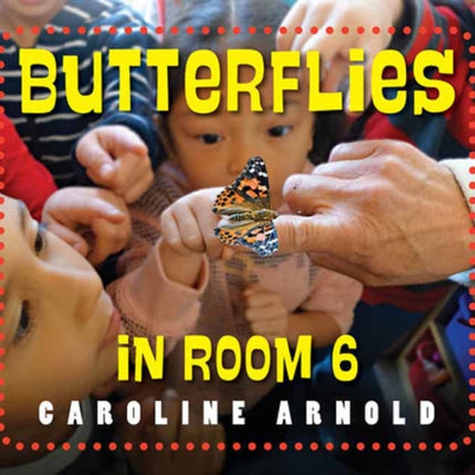 Butterflies in Room 6