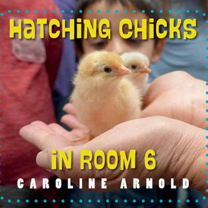 Hatching Chicks in Room 6