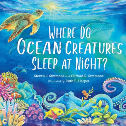 Where Do Ocean Creatures Sleep at Night