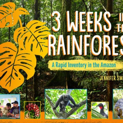 3 Weeks in the Rainforest