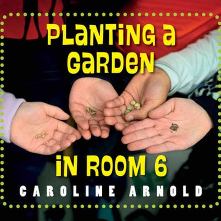 Planting a Garden in Room 6