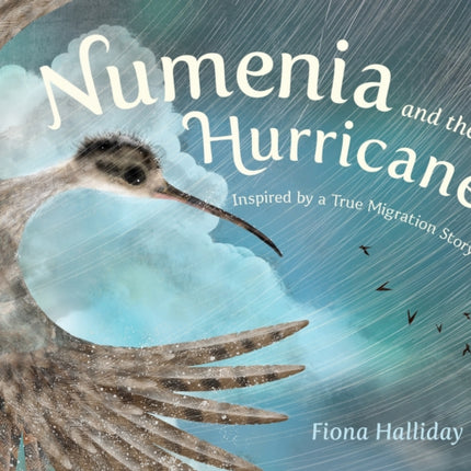 Numenia and the Hurricane: Inspired by a True Migration Story