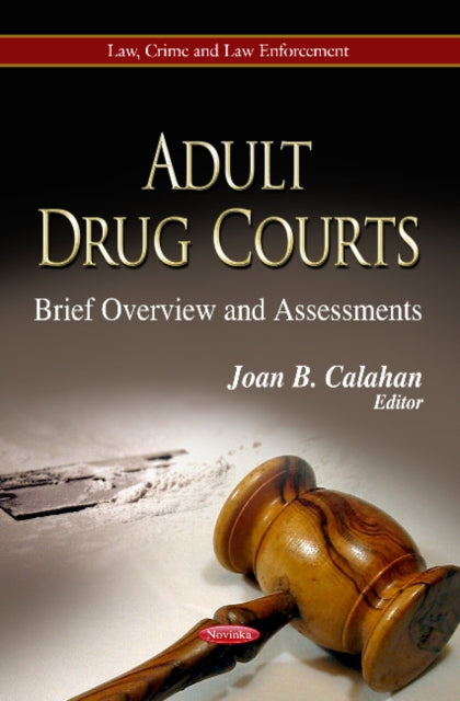 Adult Drug Courts: Brief Overview & Assessments