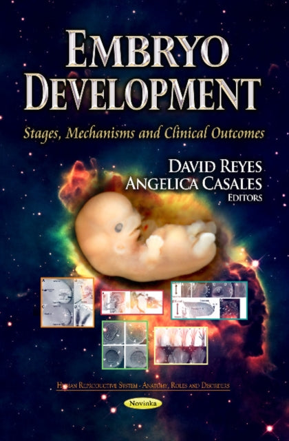 Embryo Development: Stages, Mechanisms & Clinical Outcomes