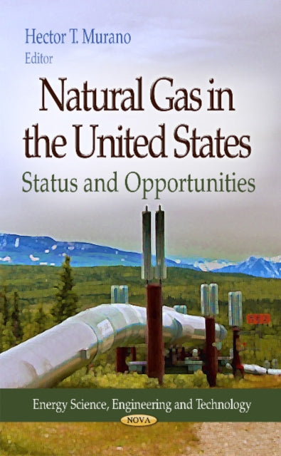 Natural Gas in the United States: Status & Opportunities