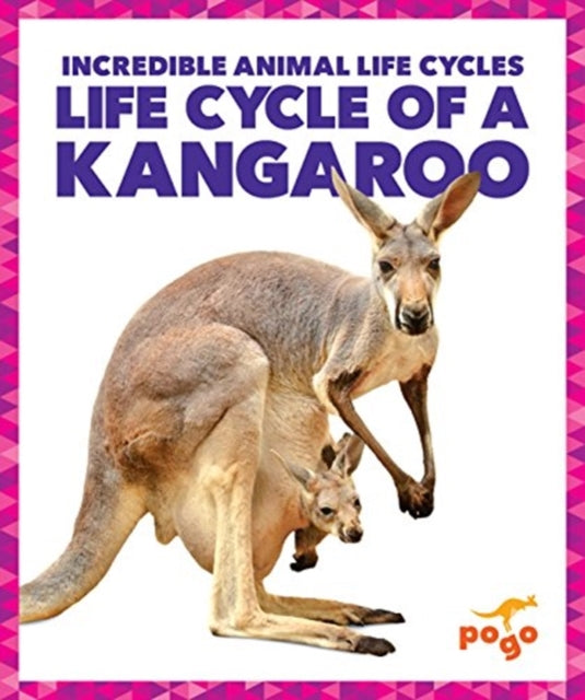 Life Cycle of a Kangaroo