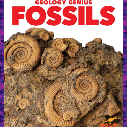 Fossils