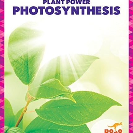 Photosynthesis