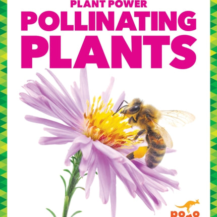 Pollinating Plants