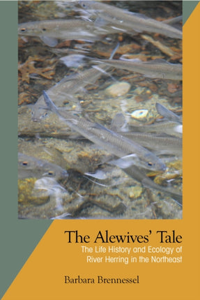 The Alewives Tale: The Life History and Ecology of River Herring in the Northeast