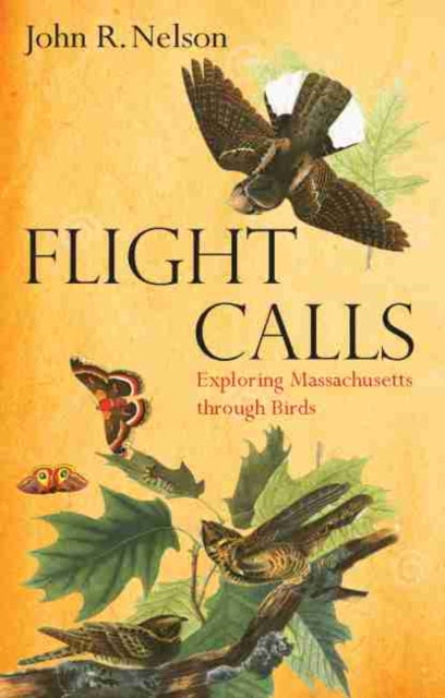 Flight Calls: Adventures with Massachusetts Birds