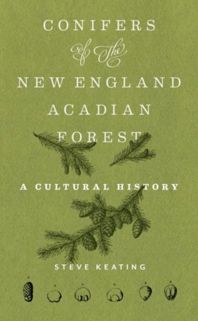 Conifers of the New EnglandAcadian Forest