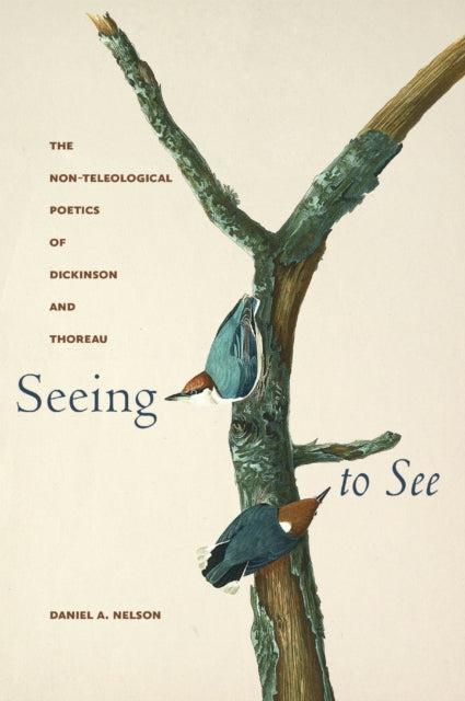 Seeing to See  The NonTeleological Poetics of