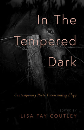 In the Tempered Dark: Contemporary Poets Transcending Elegy