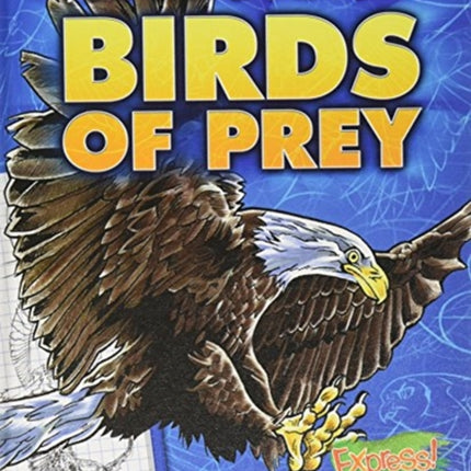 Birds of Prey