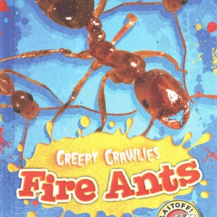 Fire Ants