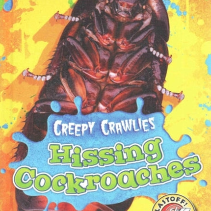 Hissing Cockroaches