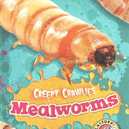 Mealworms