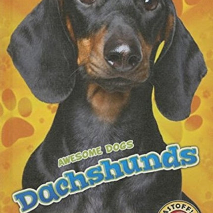 Dachshunds