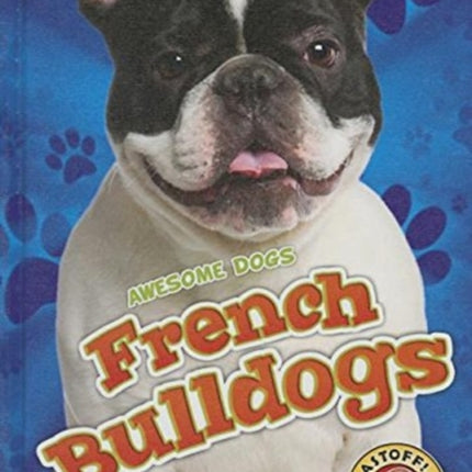 French Bulldogs