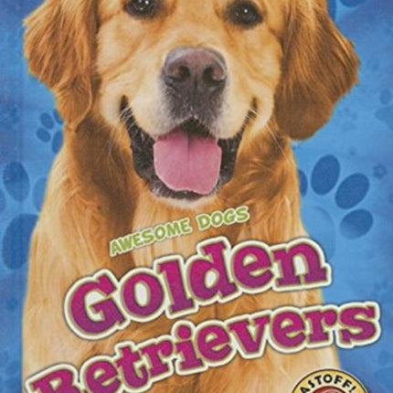 Golden Retrievers Golden Retrievers