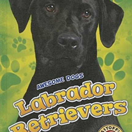 Labrador Retrievers Labrador Retrievers