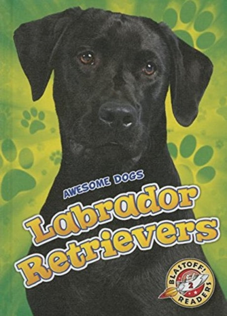 Labrador Retrievers Labrador Retrievers