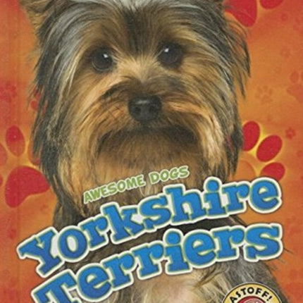 Yorkshire Terriers