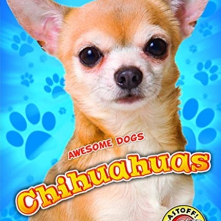 Chihuahuas