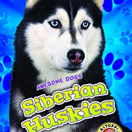 Siberian Huskies